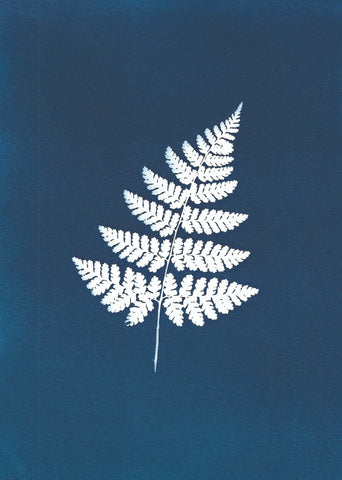 BOTANICAL CYANOTYPE A5 PRINTS