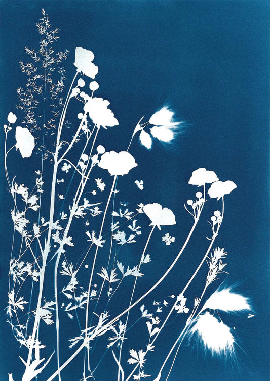 BOTANICAL CYANOTYPE A4 PRINTS