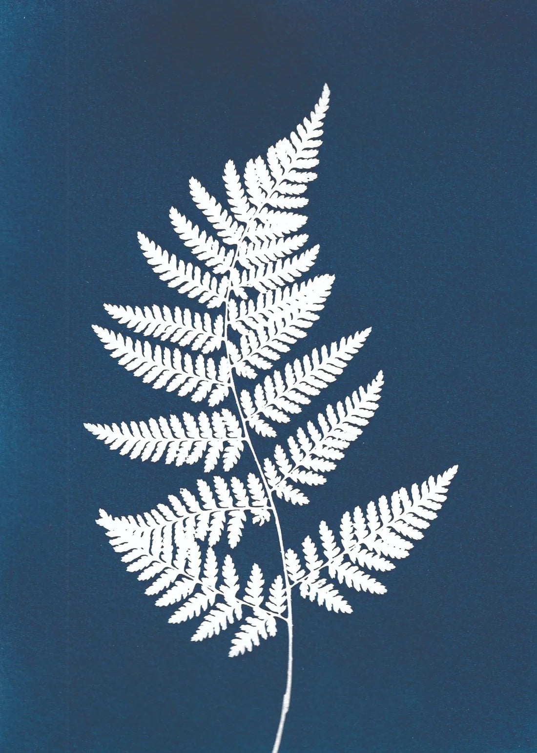 BOTANICAL CYANOTYPE A5 PRINTS