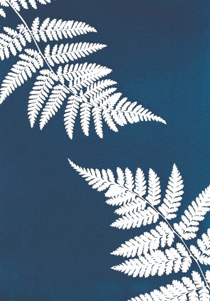 BOTANICAL CYANOTYPE A5 PRINTS