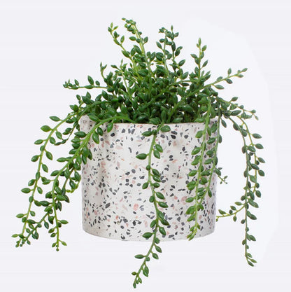 TERRAZZO PLANTER - LARGE